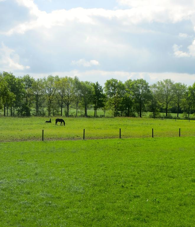 The Black Horse B&B & More Drachten Room photo